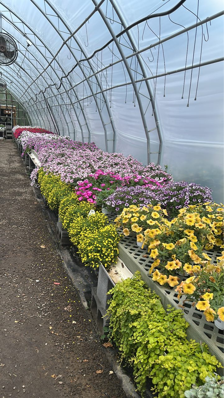 Sitemapcdatahttpswwwkedriinfolucas Nursery Landscapingnull