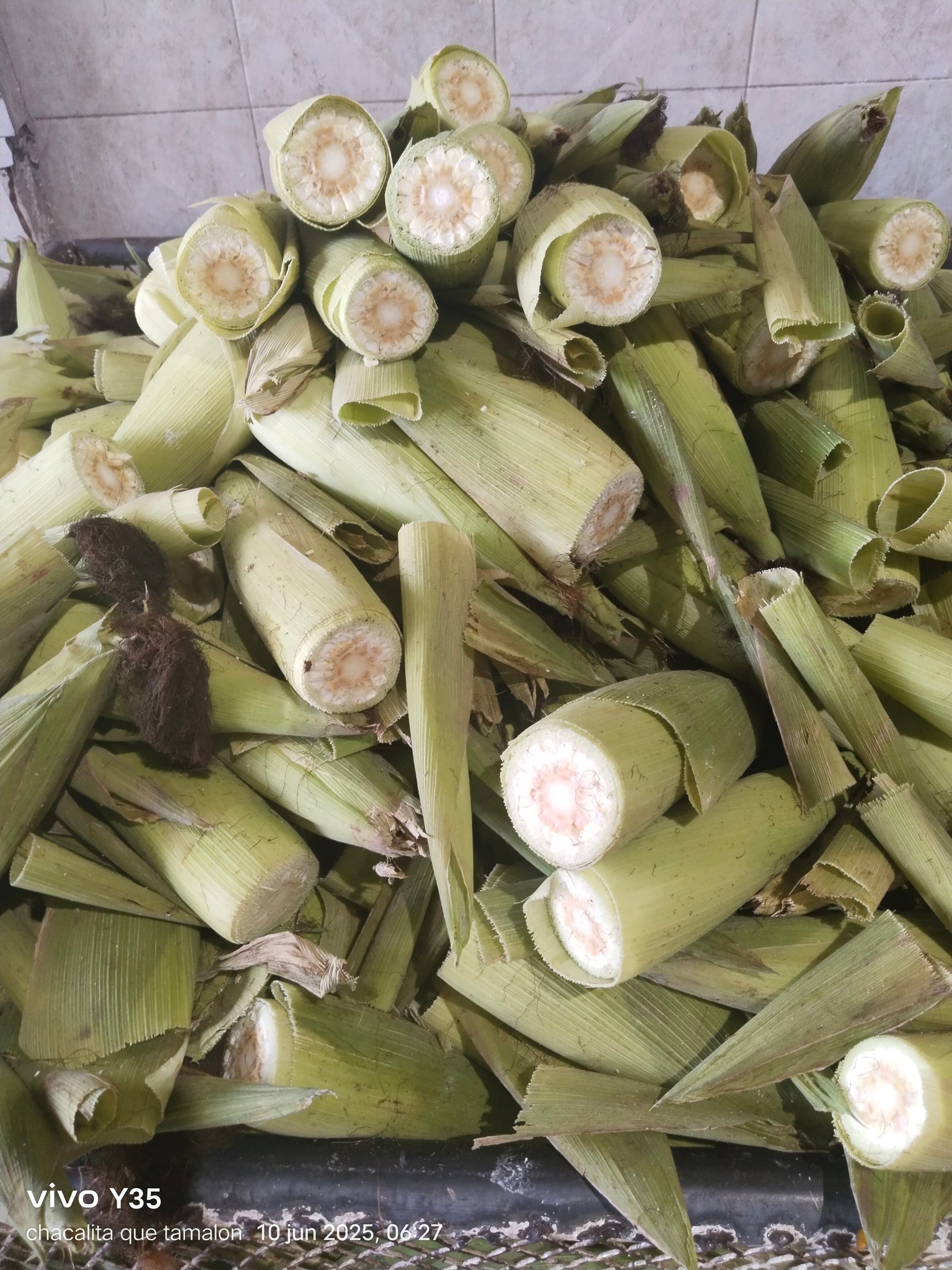 Elotes Rito | Hermosillo