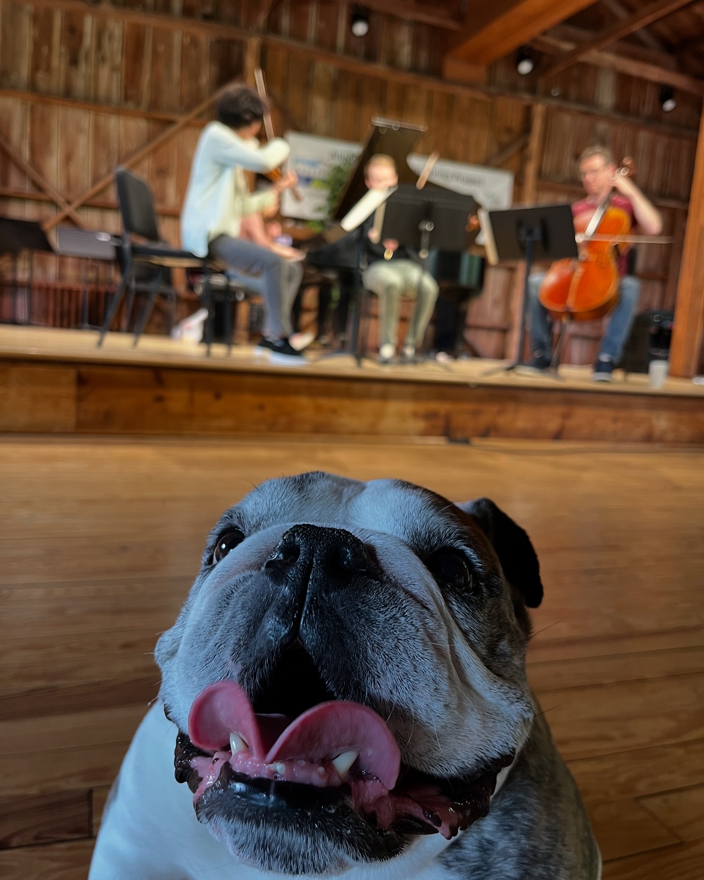 🤪 🐶 In honor of... - Garth Newel Music Center | Facebook