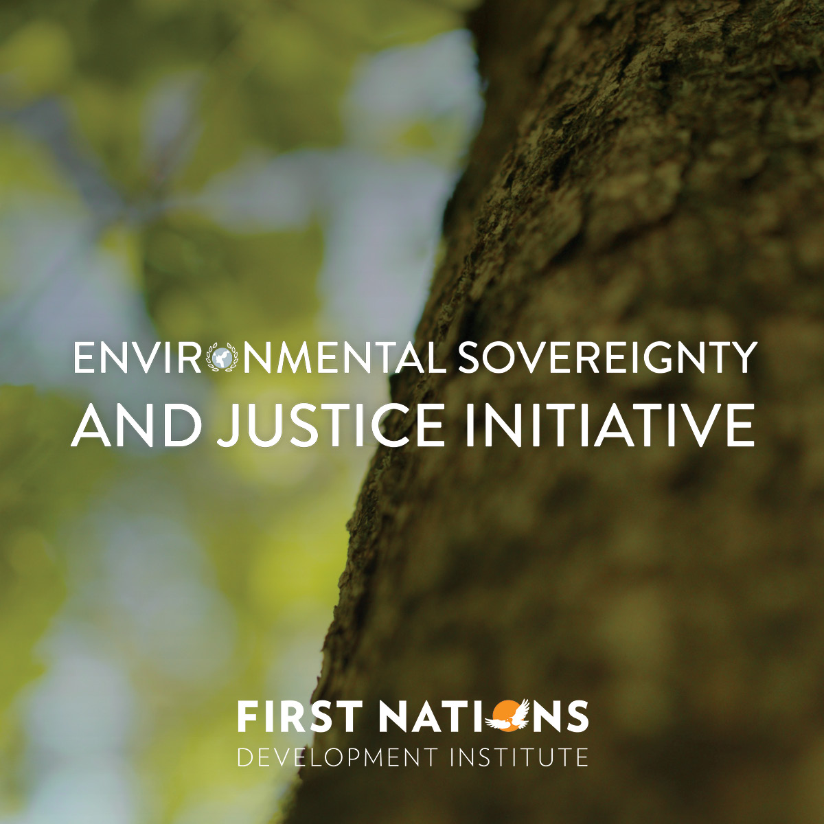 First - A new First Nations report celebrates Tribal responses to COVID ...