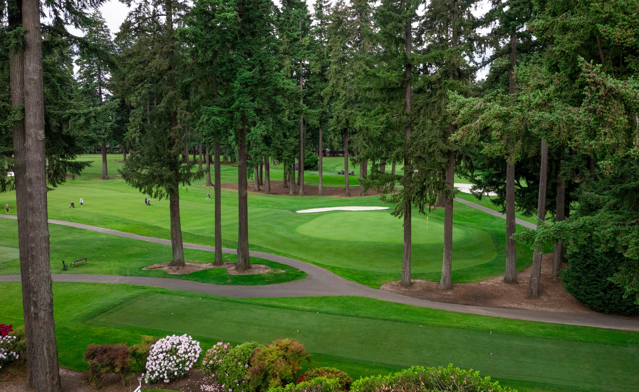 tualatin country club dress code green & gorgeous! #tualatincountryclub Voile Fit & Flare DR0703PM Color:As Photo Dusty Blue country club outfit female