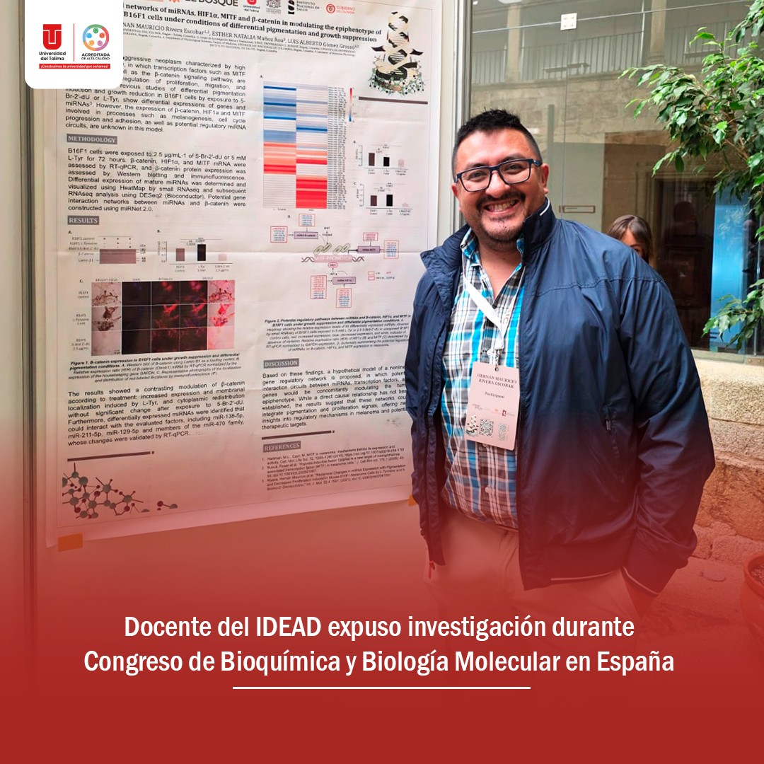 #IDEADenlosTerritorios Docente del IDEAD expuso investigación durante ...