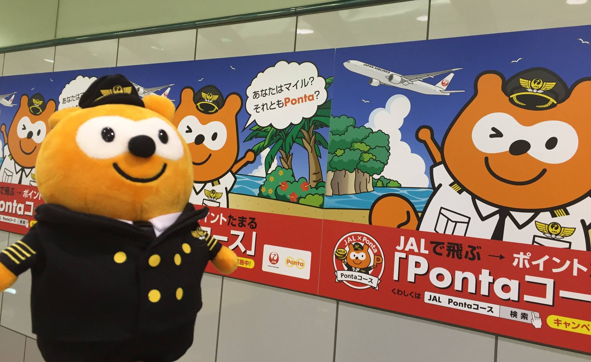 ポンタが大きくなって全国出張中 Japan Airlines Jal Facebook