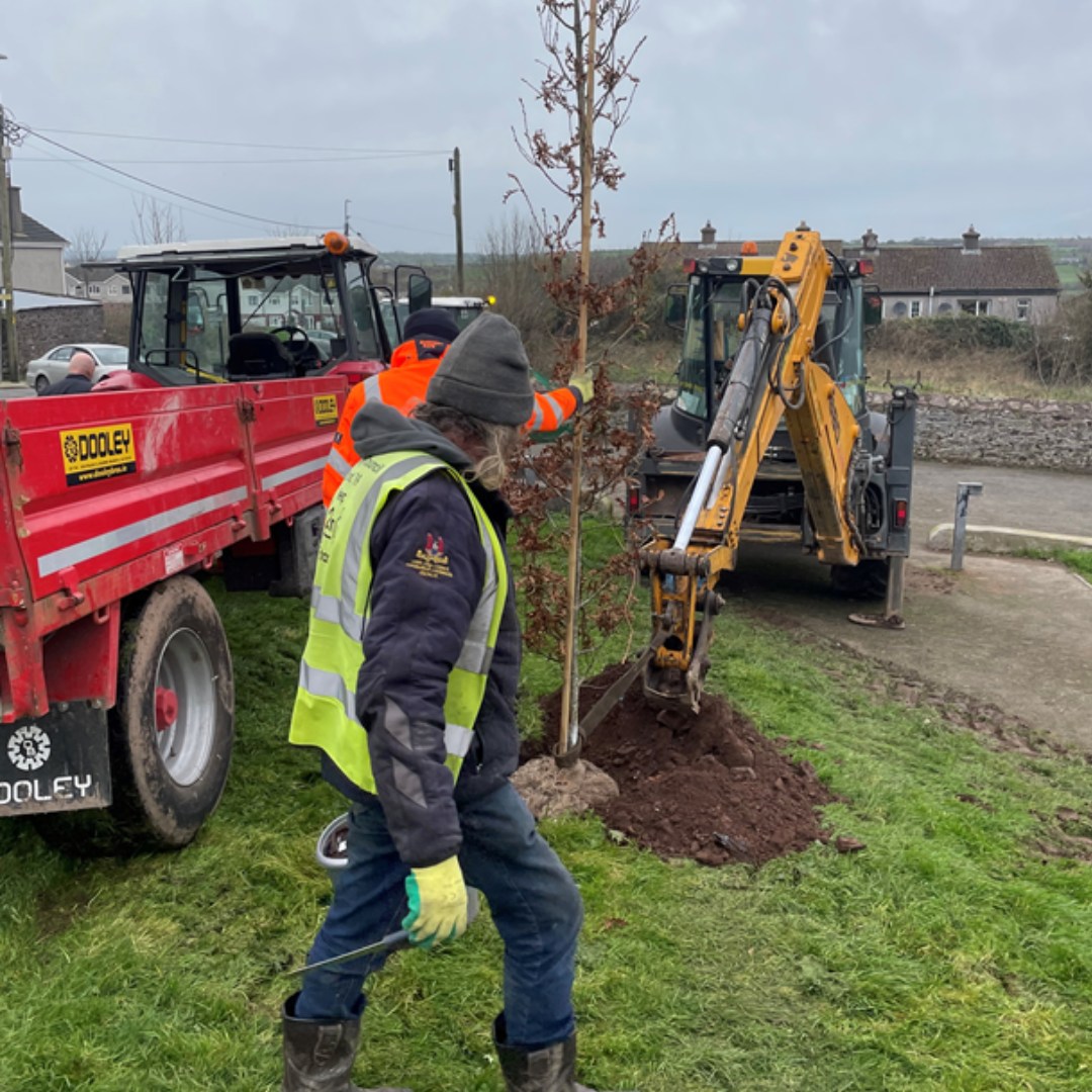 Cork - 📣 Tree Removal Clarification ℹ Cork City Council would like to ...