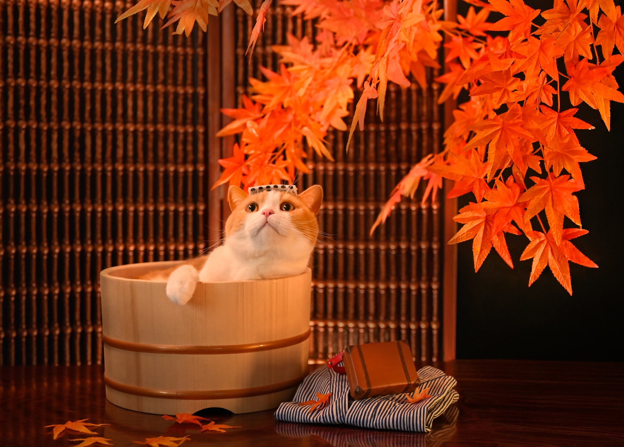 にゃっは～♨ #紅葉露天 #にゃらん #じゃらん