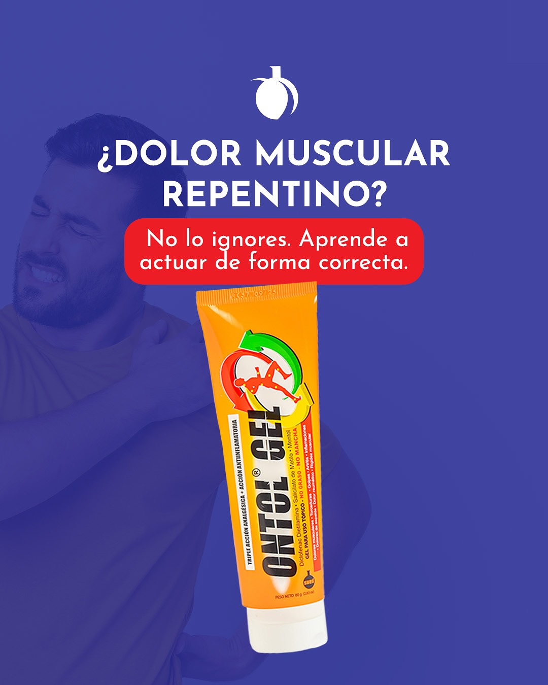 Sued & Fargesa, SRL - Analgésico-antiinflamatorio tópico para el manejo ...