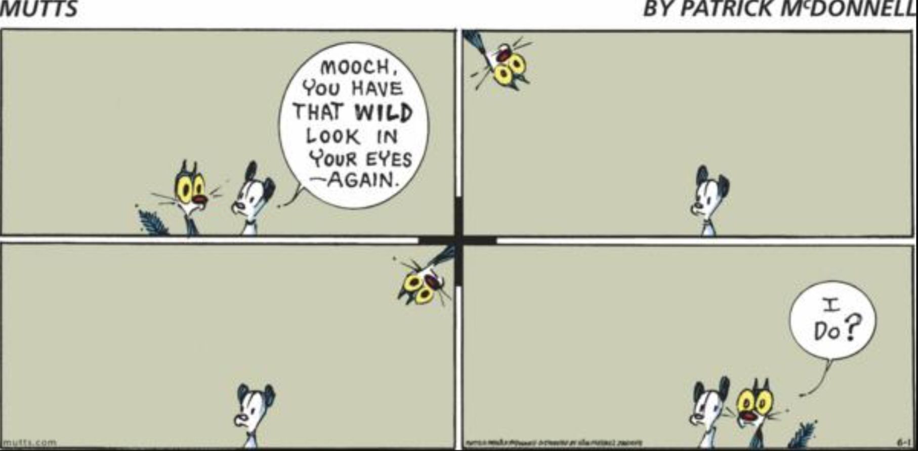 COMIC STRIPS - COMIC STRIPS added a new photo.