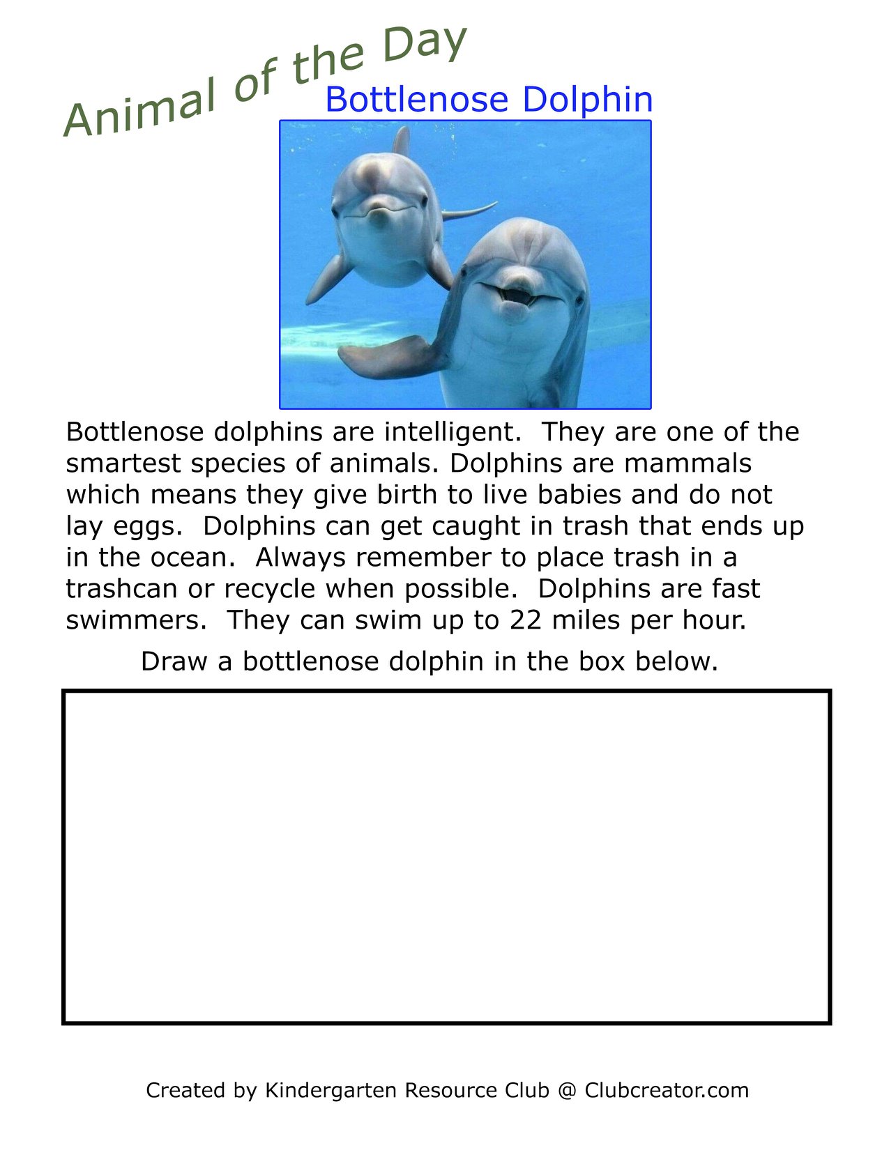 Our animal of the day today is bottlenose dolphin! I will post the math ...