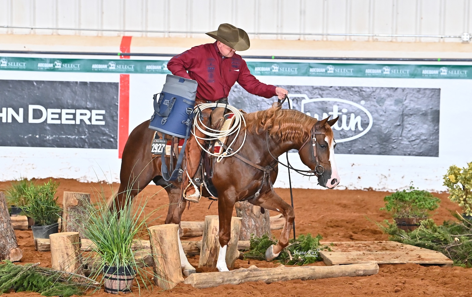 Horse - Corey Cushing Performance Horses and Tuff Tobe Woody dominated ...
