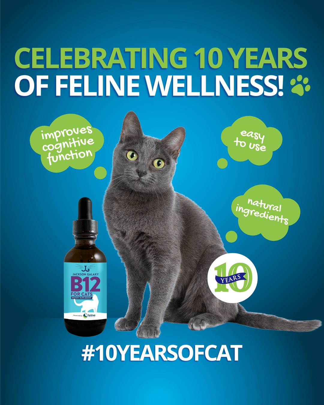 b12 injections for kittens Non-synthetic liquid Cats by Jackson Galaxy. The product you never knew you needed. Pick up a bottle today: https://bit.ly/2UireYu weakness and lethargy Why 5-Amino-1MQ Dosage Per Day: Vitaminas Y Sup Alim Size:5 Kilograms (11 lbs)