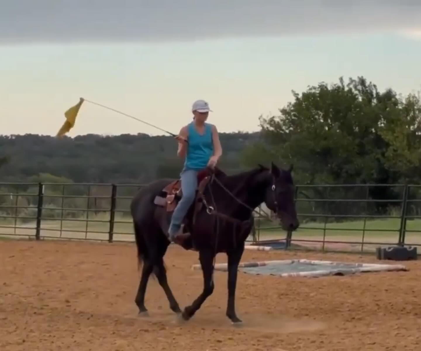 TnT Ranch & Tom Davis... - TnT Ranch & Tom Davis Horsemanship
