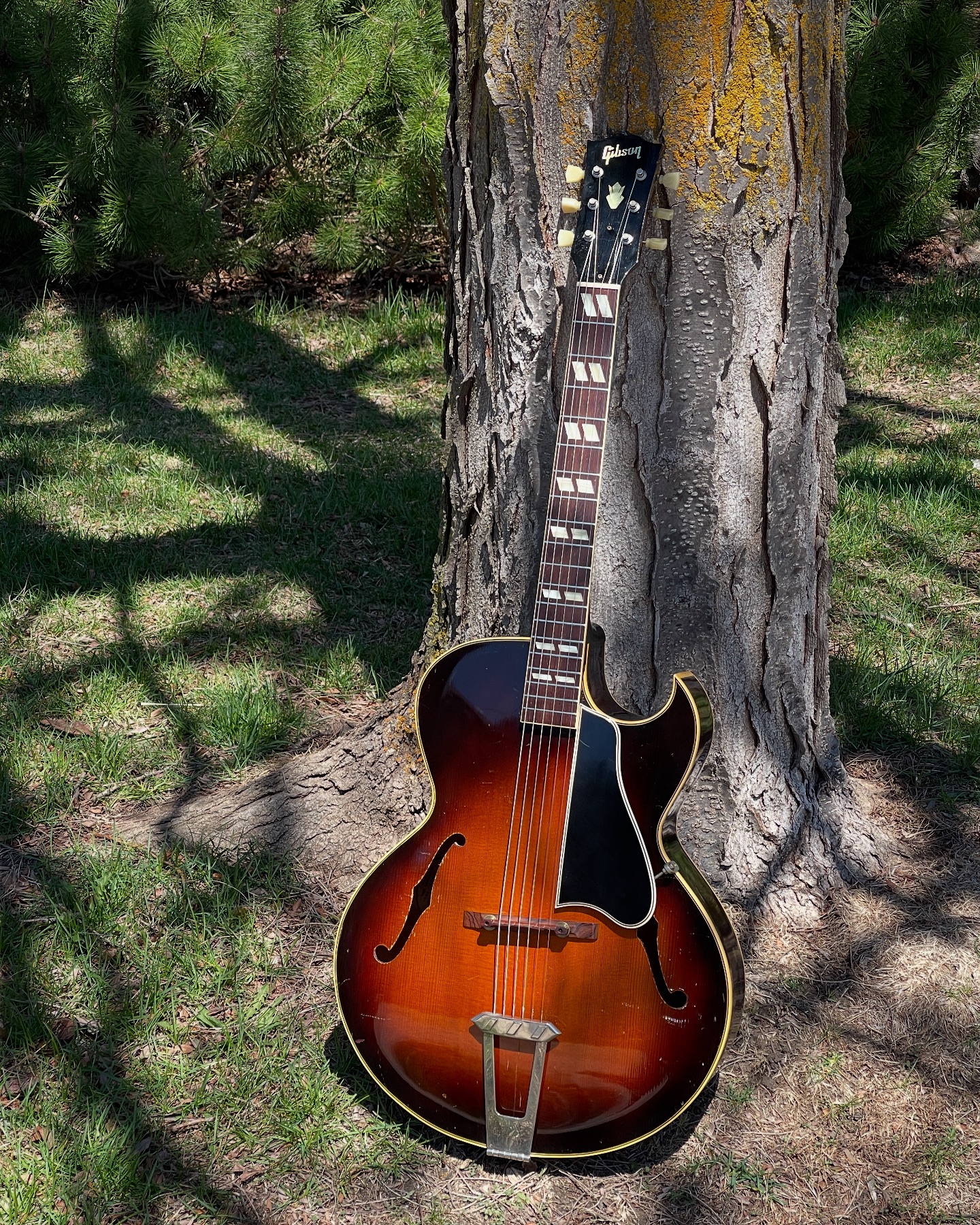 Built in 1951 and still a showstopper, this Gibson L-4C offers