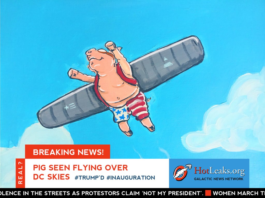 HotLeaks Pig seen flying over WashingtonDC skies! Inaugeration