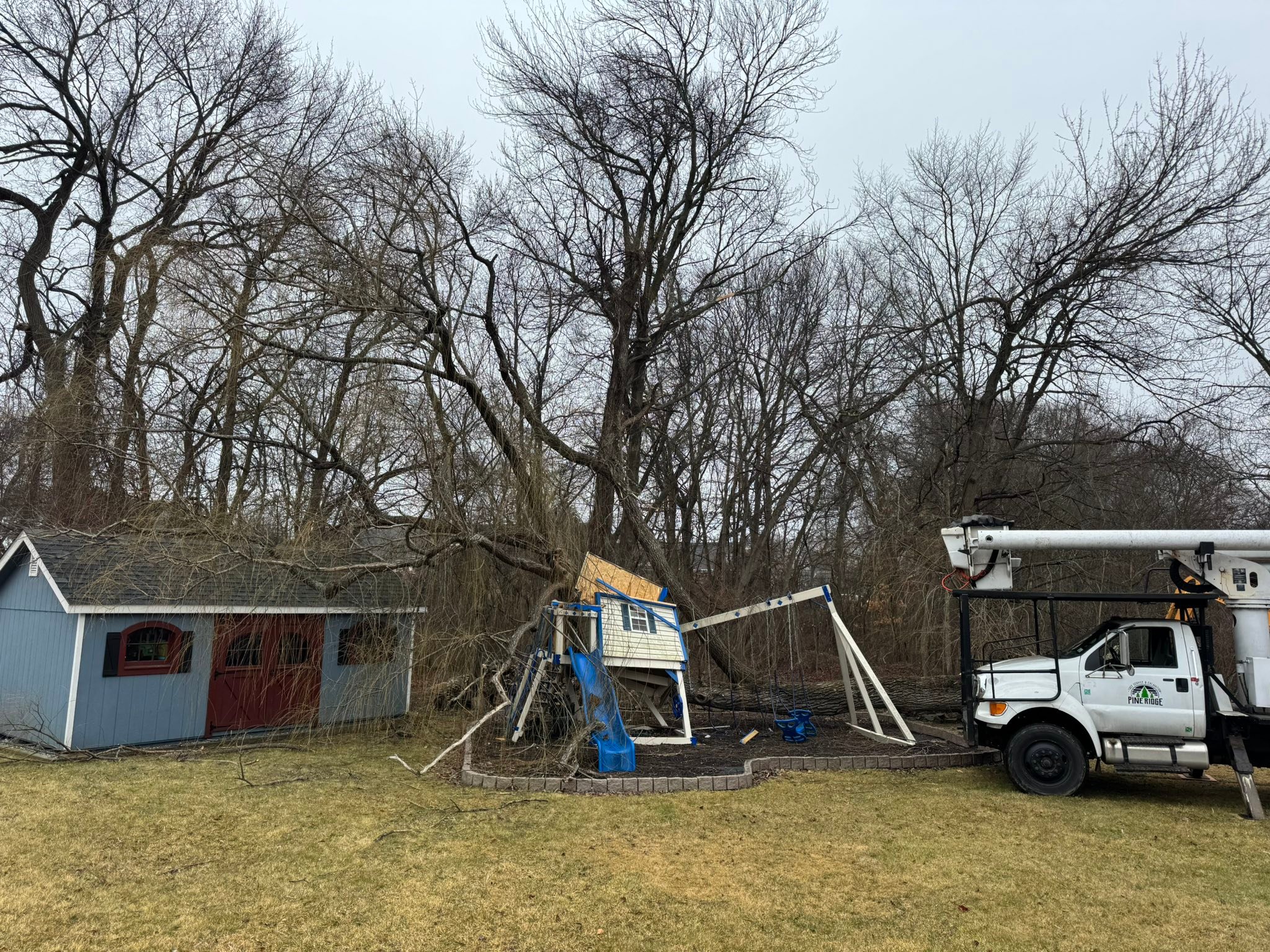 Pine Ridge Tree &... - Pine Ridge Tree & Excavation CT