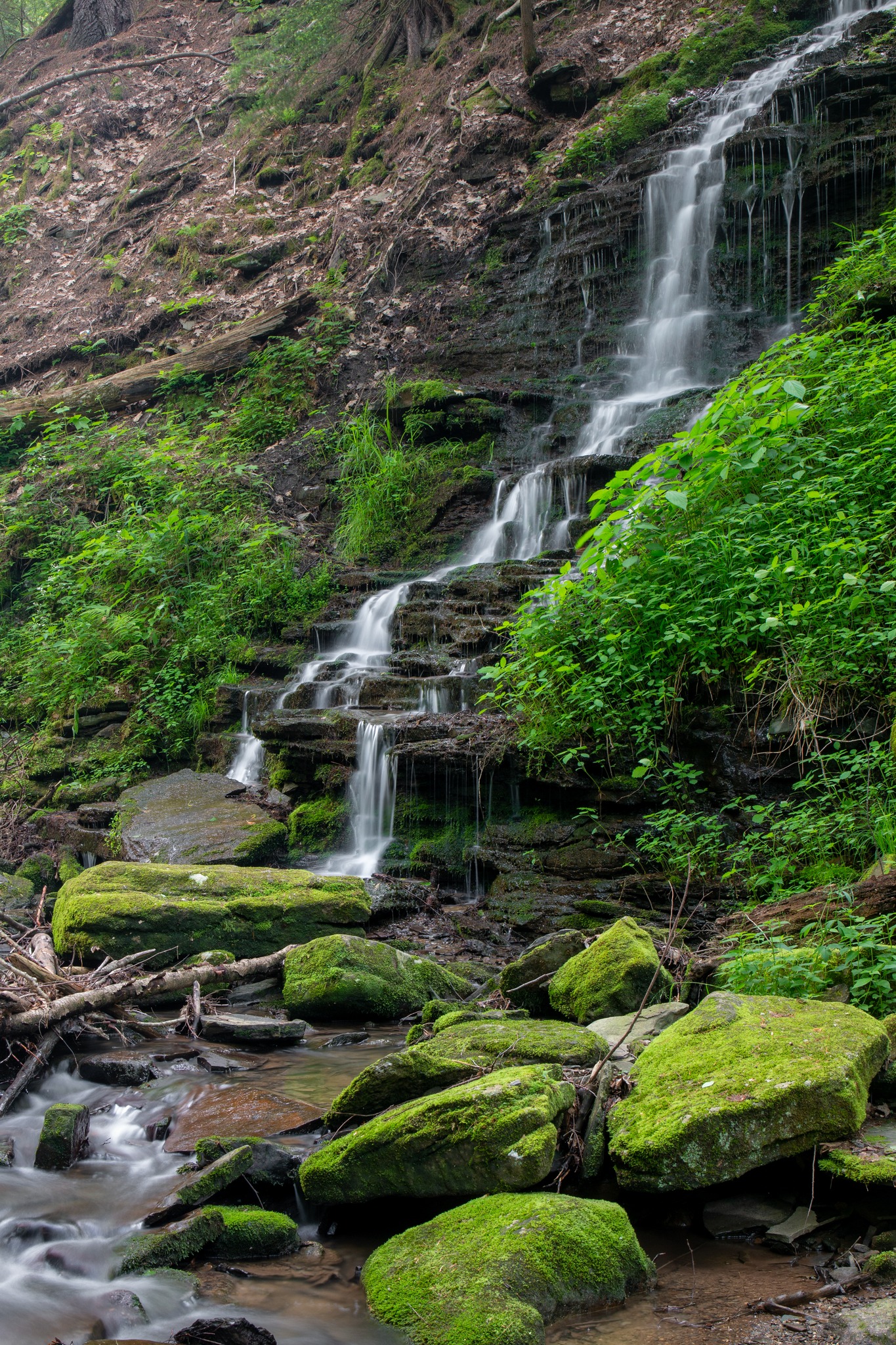 Uncovering - Bridal Falls is a hidden gem of Allegany State Park in ...