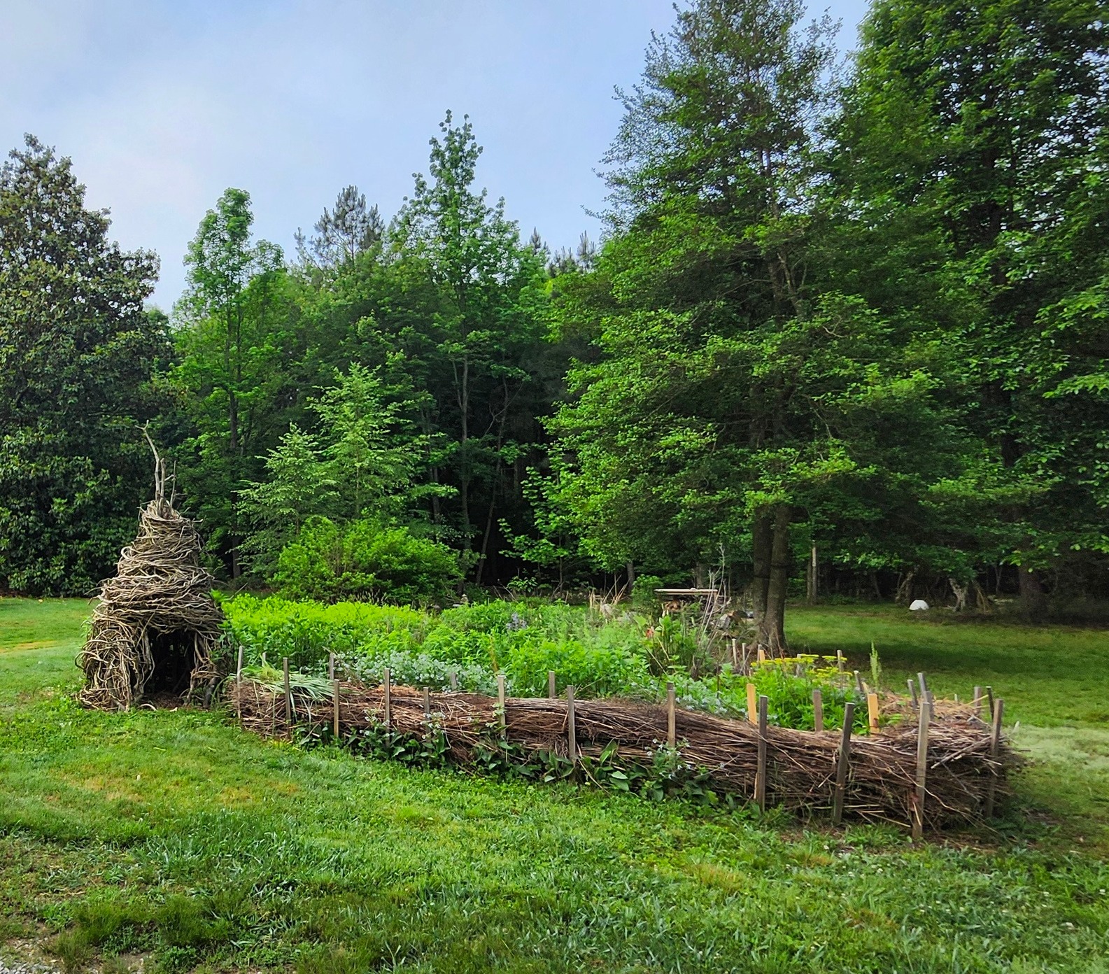 Capital - What IS this magical site?! 😍 This brush pile - also known as ...