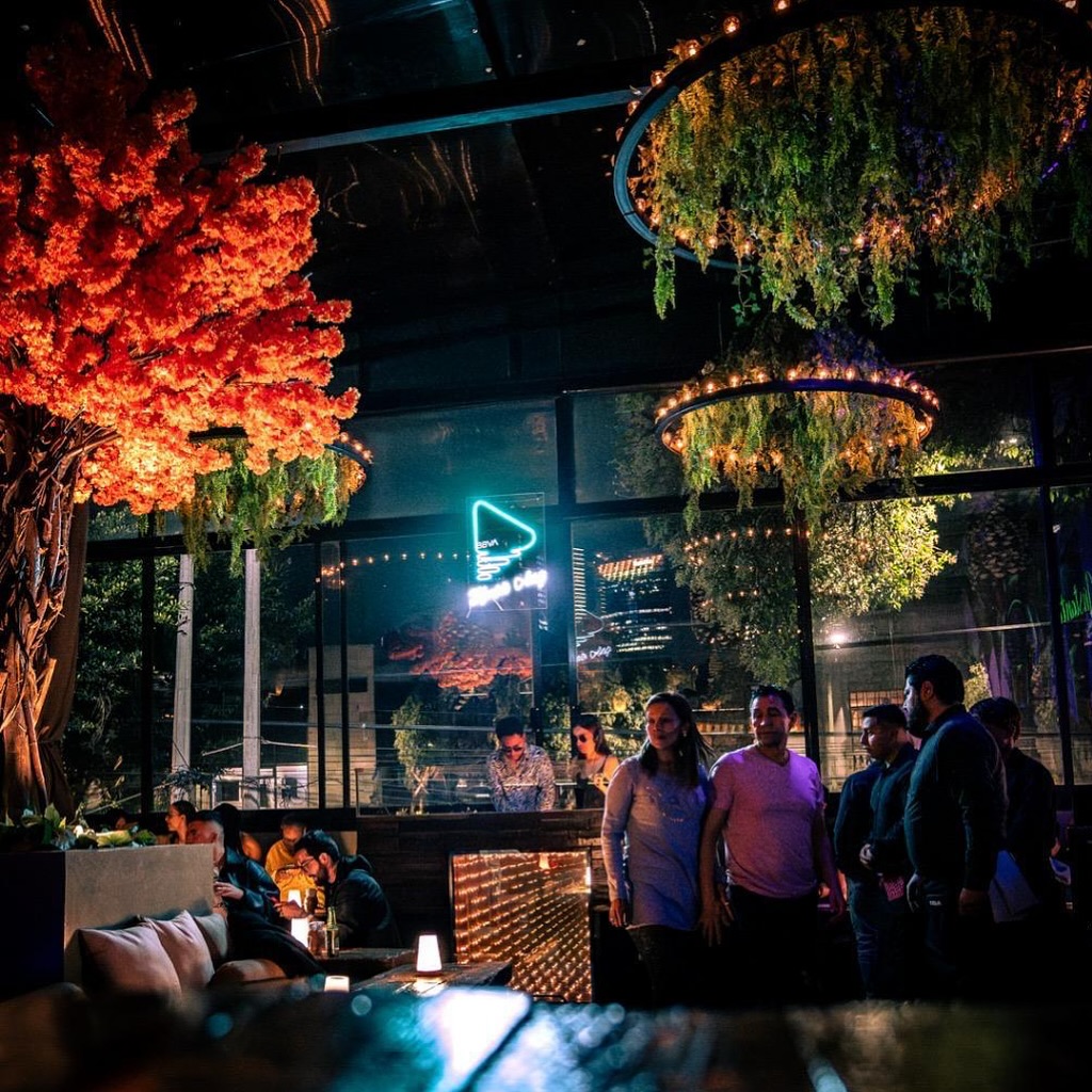 Terraza Roma | Mexico City