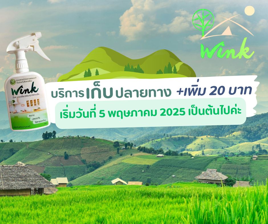 Wink น้ำยาขจัดคราบมัน สลายคราบมันฝังแน่นและคราบสกปรก