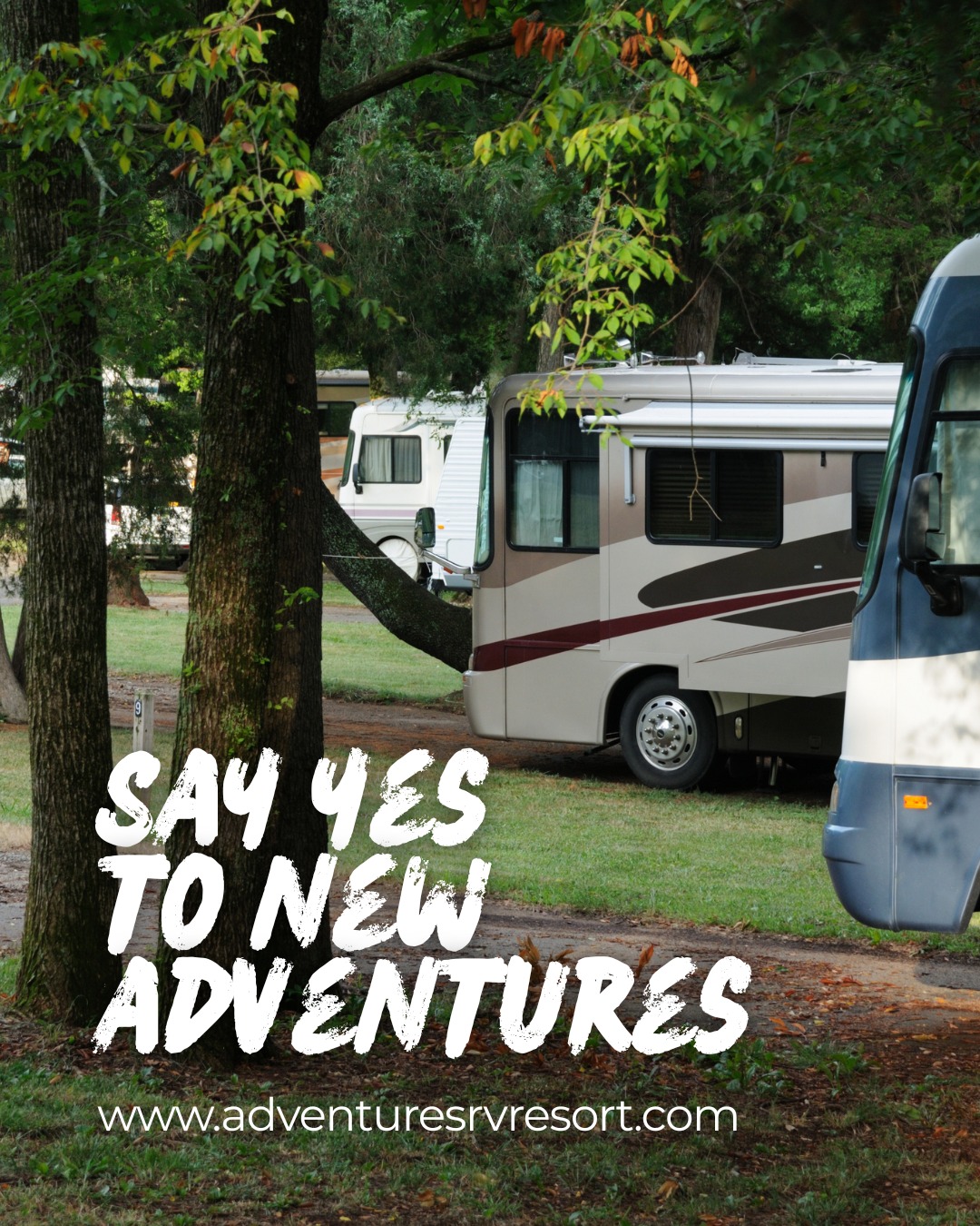 Adventures RV Resort | Robert LA