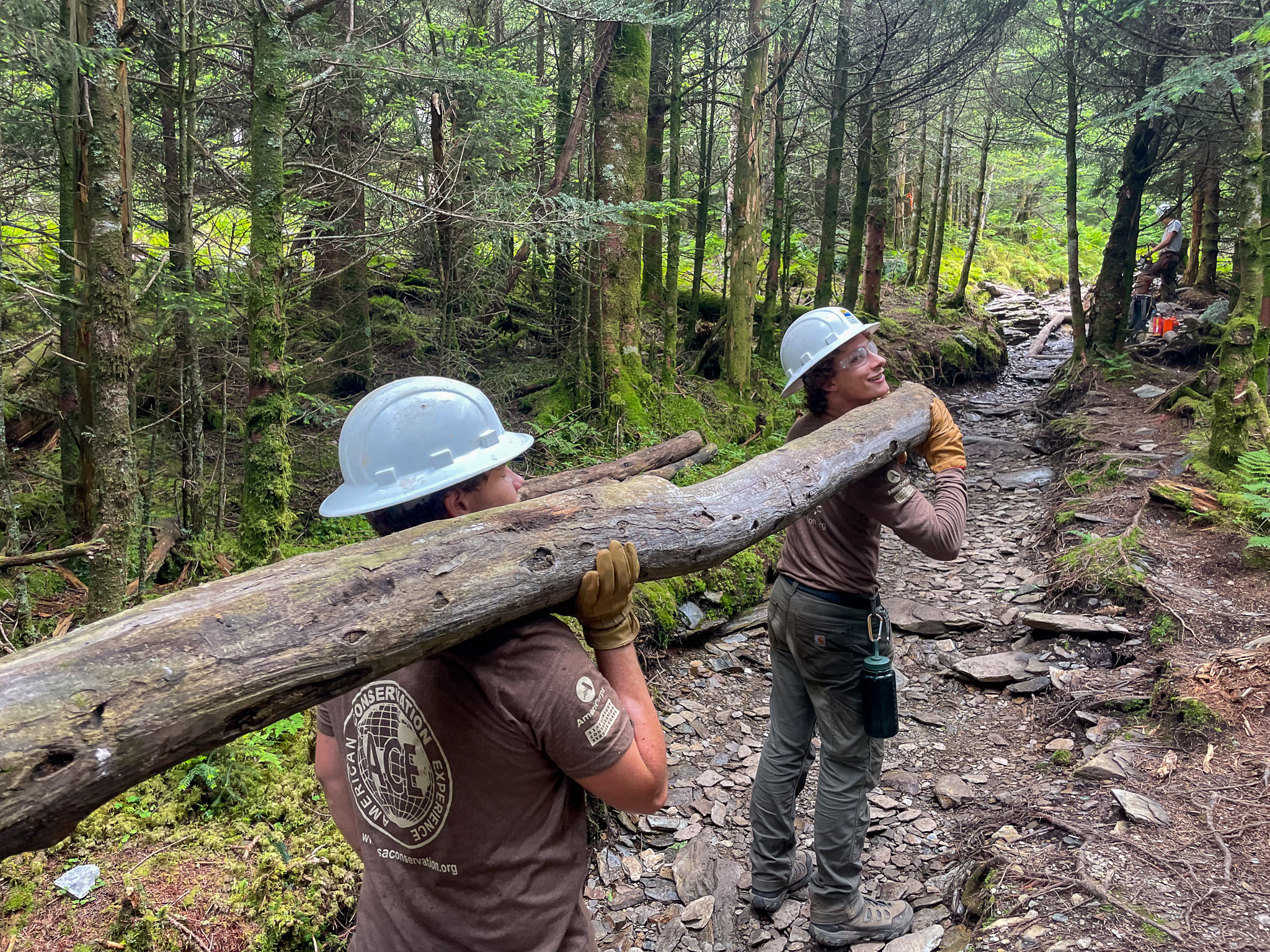 American Conservation Experience