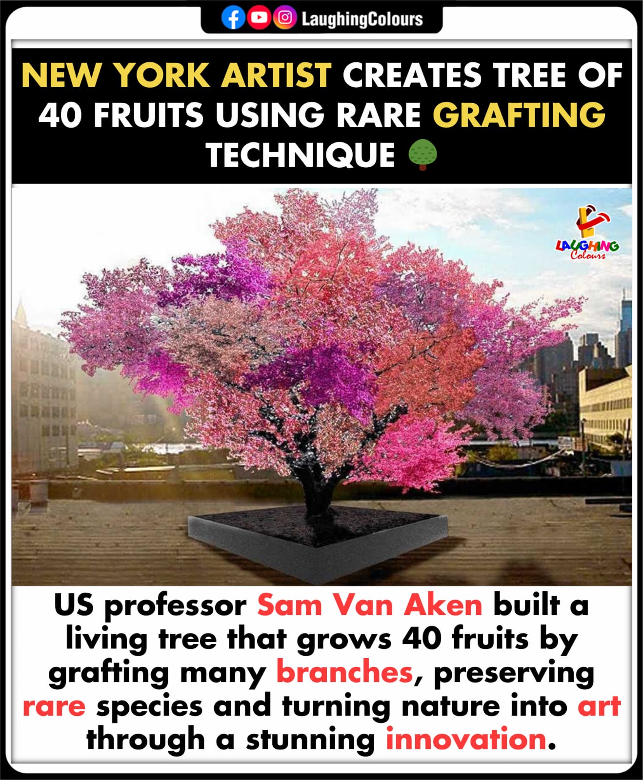 Laughing - Forty-fruit tree amazes 🌳 #SamVanAken #ArtInnovation # ...