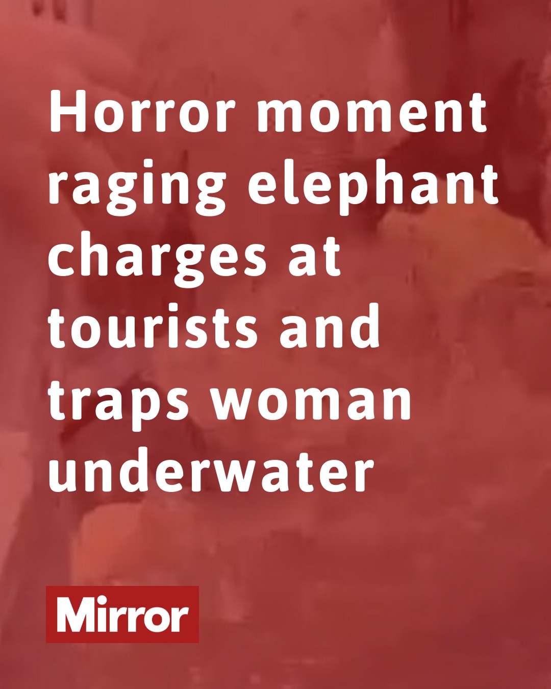 The Mirror - Thankfully the people were unharmed | Facebook