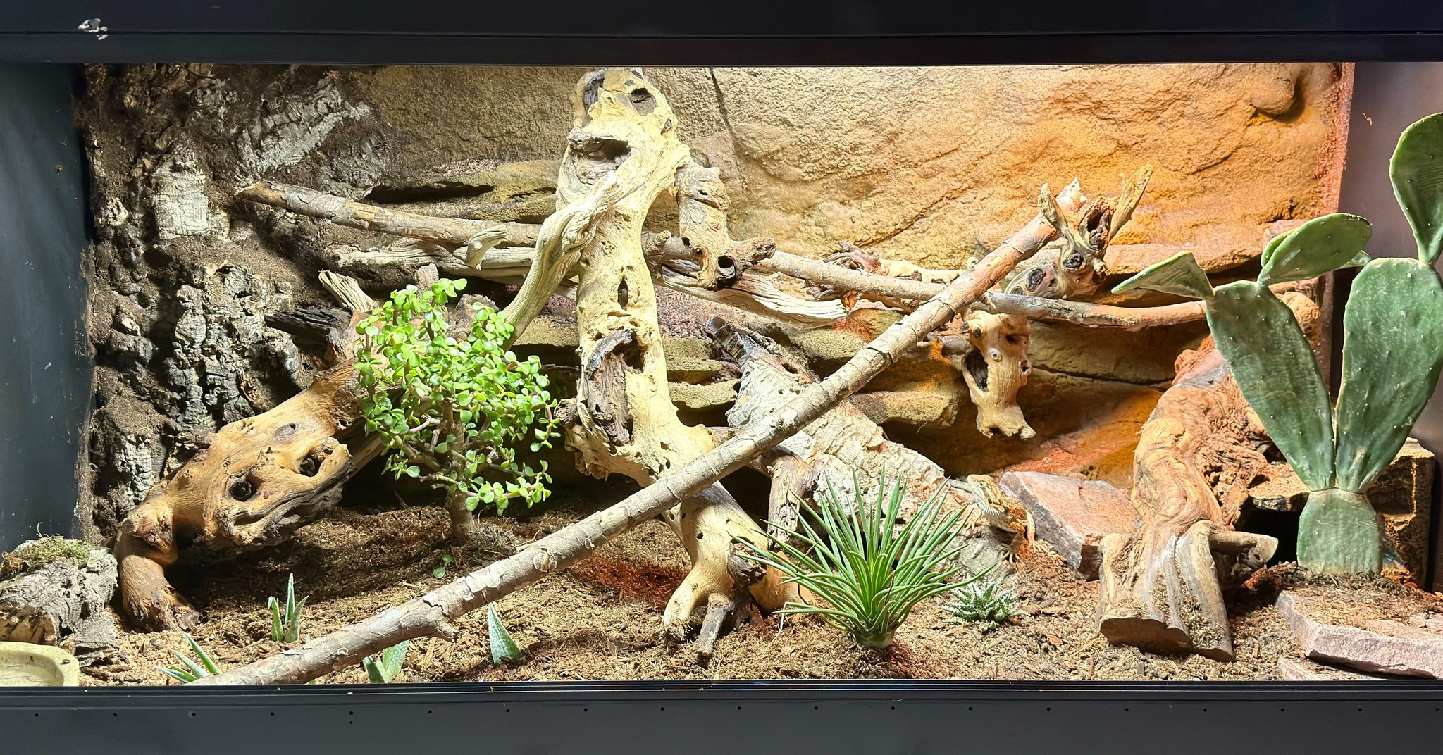 Gallery image with a fresh perspective