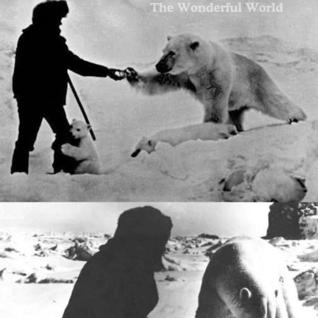 In 1976, Soviet explorer Nikolai Machulyak captured a moment that