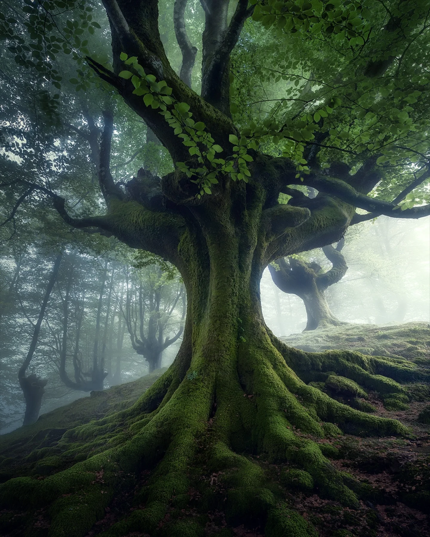 Max Rive Photography