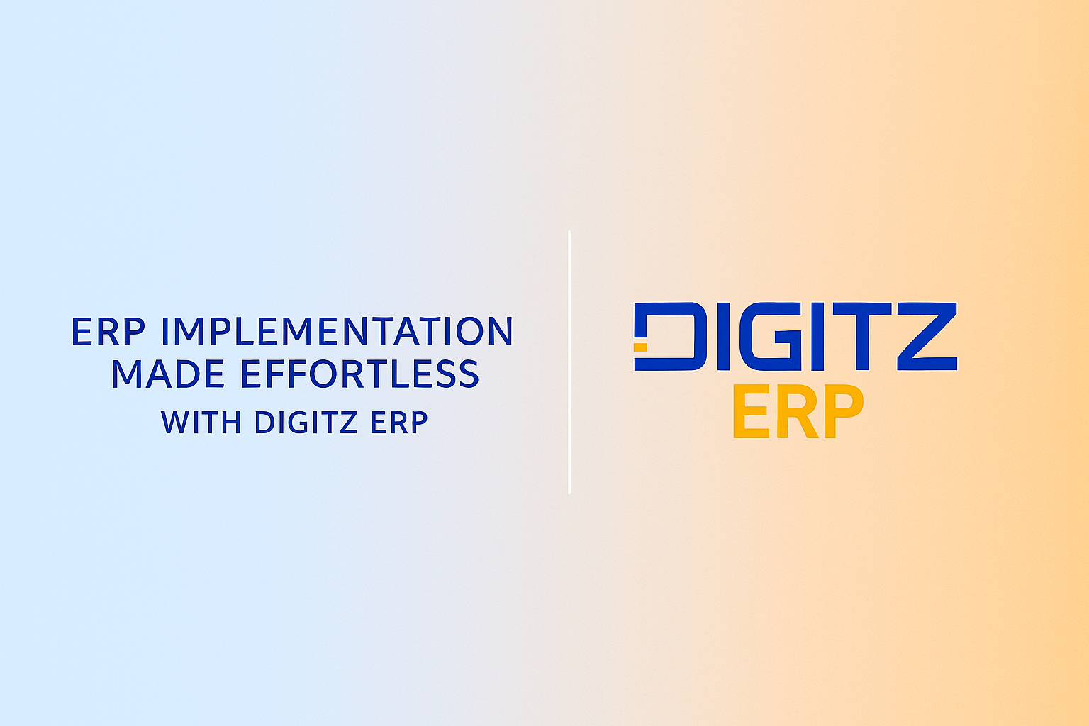 DIGITZ ERP