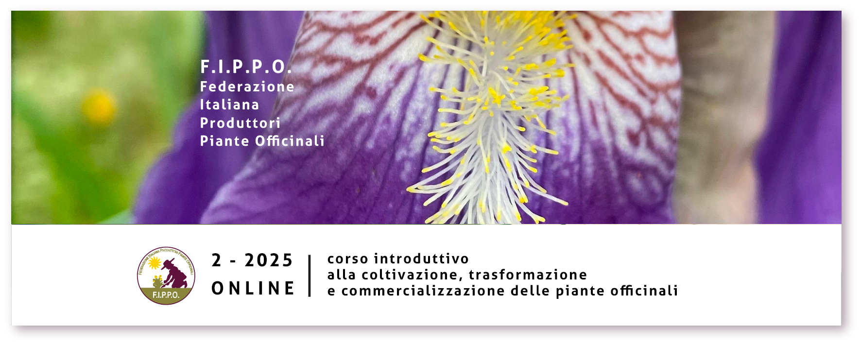 CORSO INTRODUTTIVO ALLA COLTIVAZIONE, TRASFORMAZIONE E ...