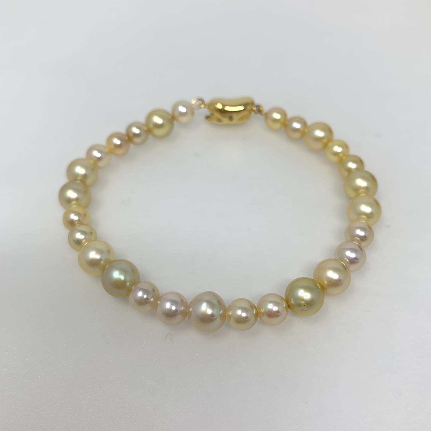Pearl FALCO パールファルコ added a new photo. - Pearl FALCO パール 