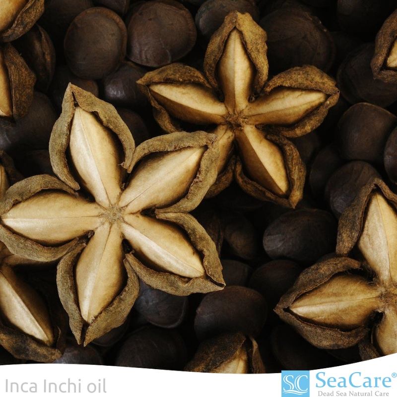 The beneficial effect of Inca... - SeaCare Natural Cosmetics | Facebook