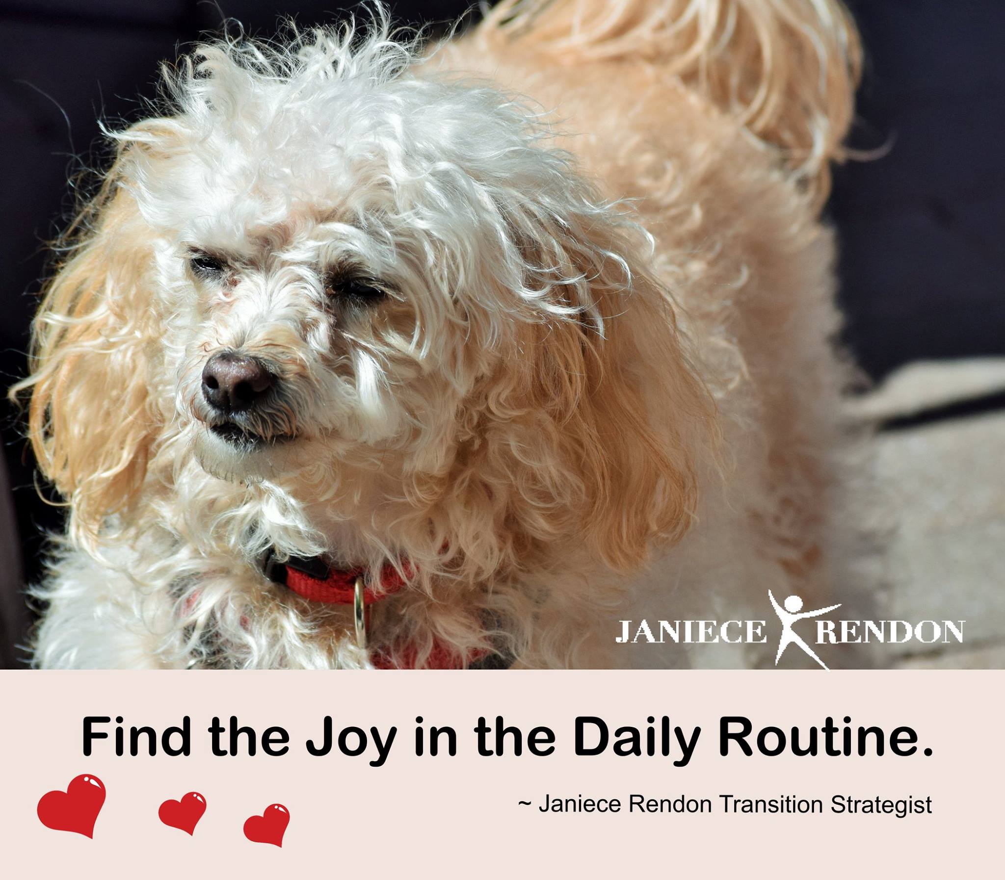 Trust - It is important to find the joy in your daily routine. Janiece ...