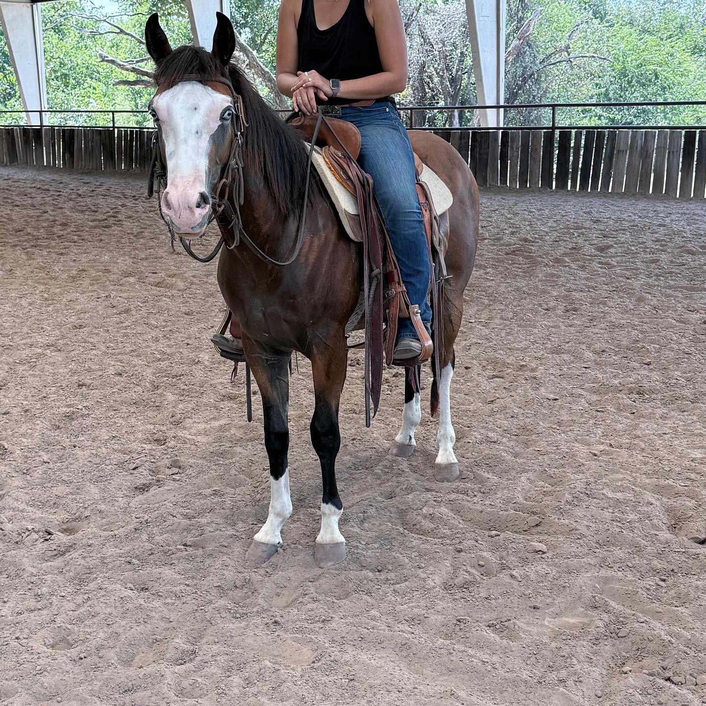 TnT Ranch & Tom Davis... - TnT Ranch & Tom Davis Horsemanship