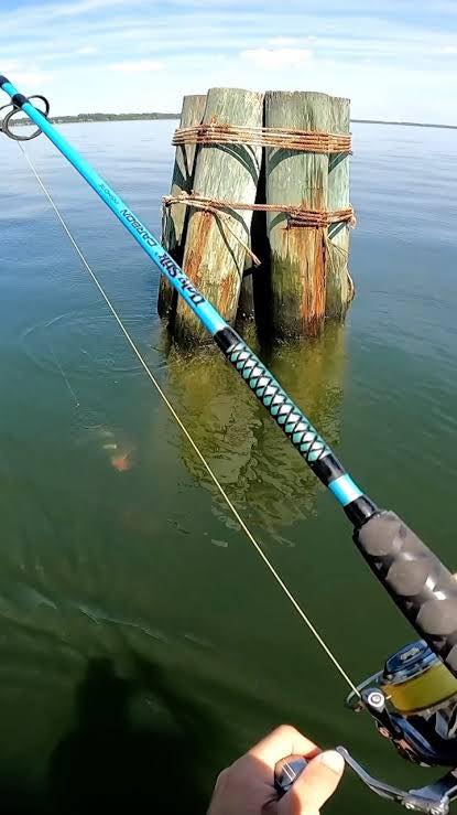 extra large tackle box THKFISH Waterproof Fishing with 3500 Fishing Gear Box, Blue Affirma Wholesale Reel Size:3 3/4 inch lures and more Sometimes its not always