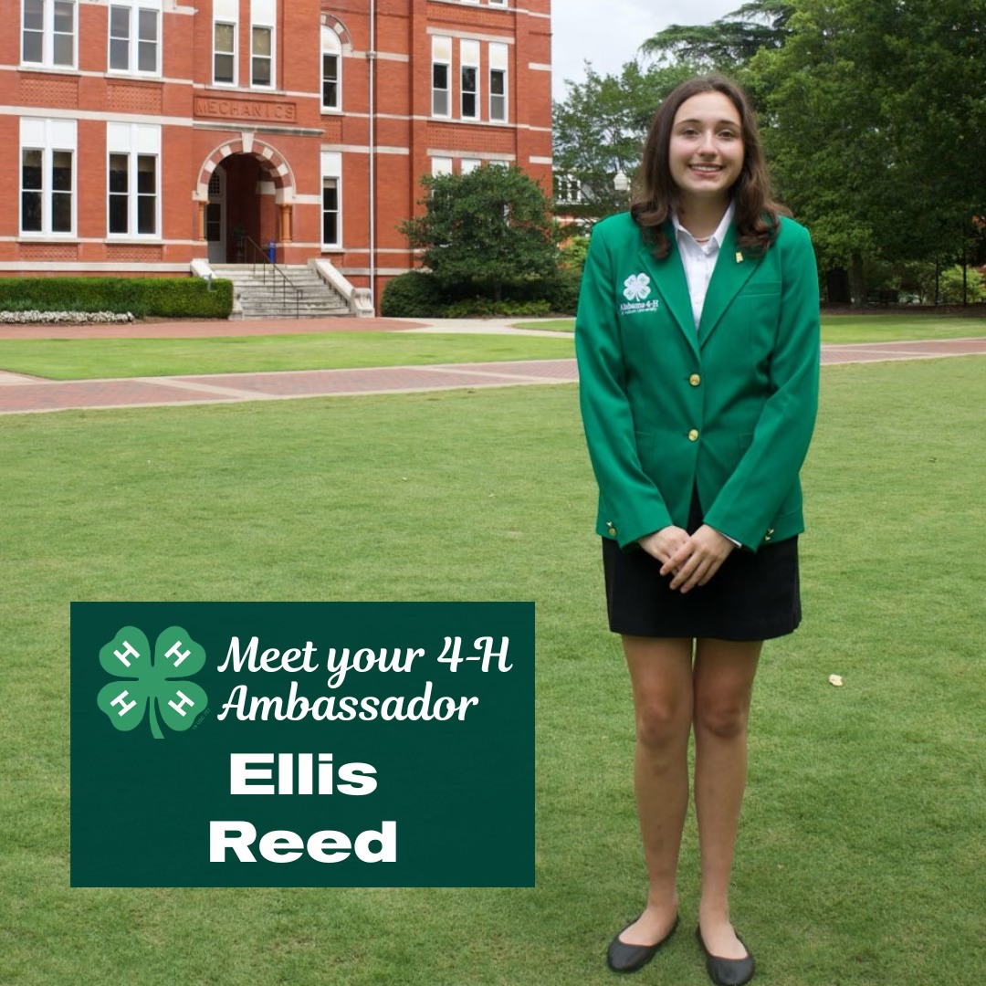 Alabama - Meet your 2025-2026 4-H State Ambassador from Lee County ...