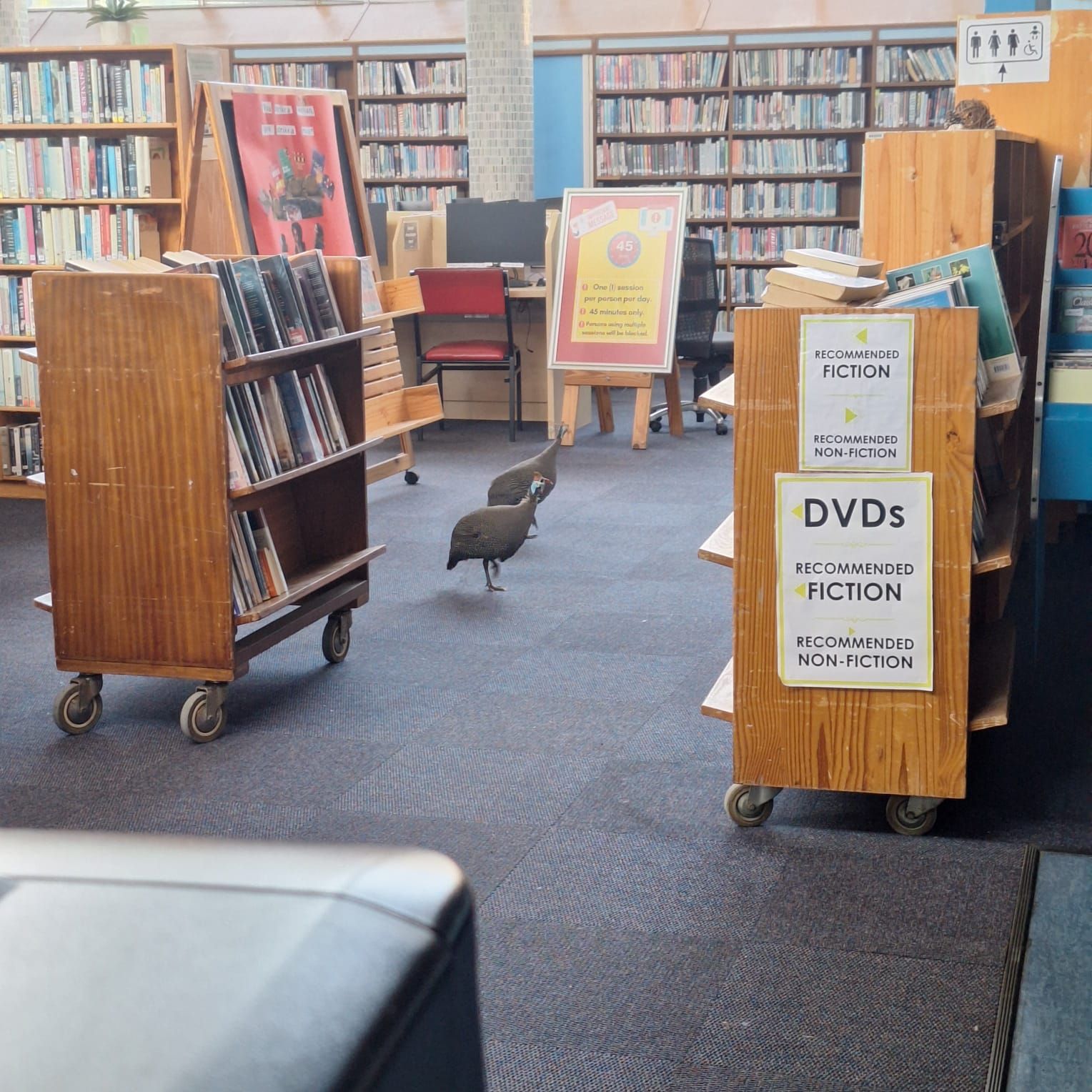 Colin Eglin Sea Point... - Colin Eglin Sea Point Library