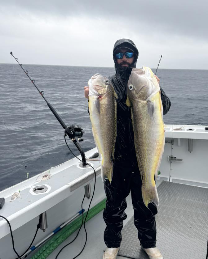 🚨🚨Local Tilefish🚨🚨 Don’t miss... - Out of the Blue Seafood | Facebook
