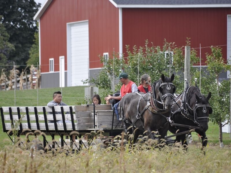 Grand - Fall Fun at Fruit Ridge Hayrides in Kent City starts September ...