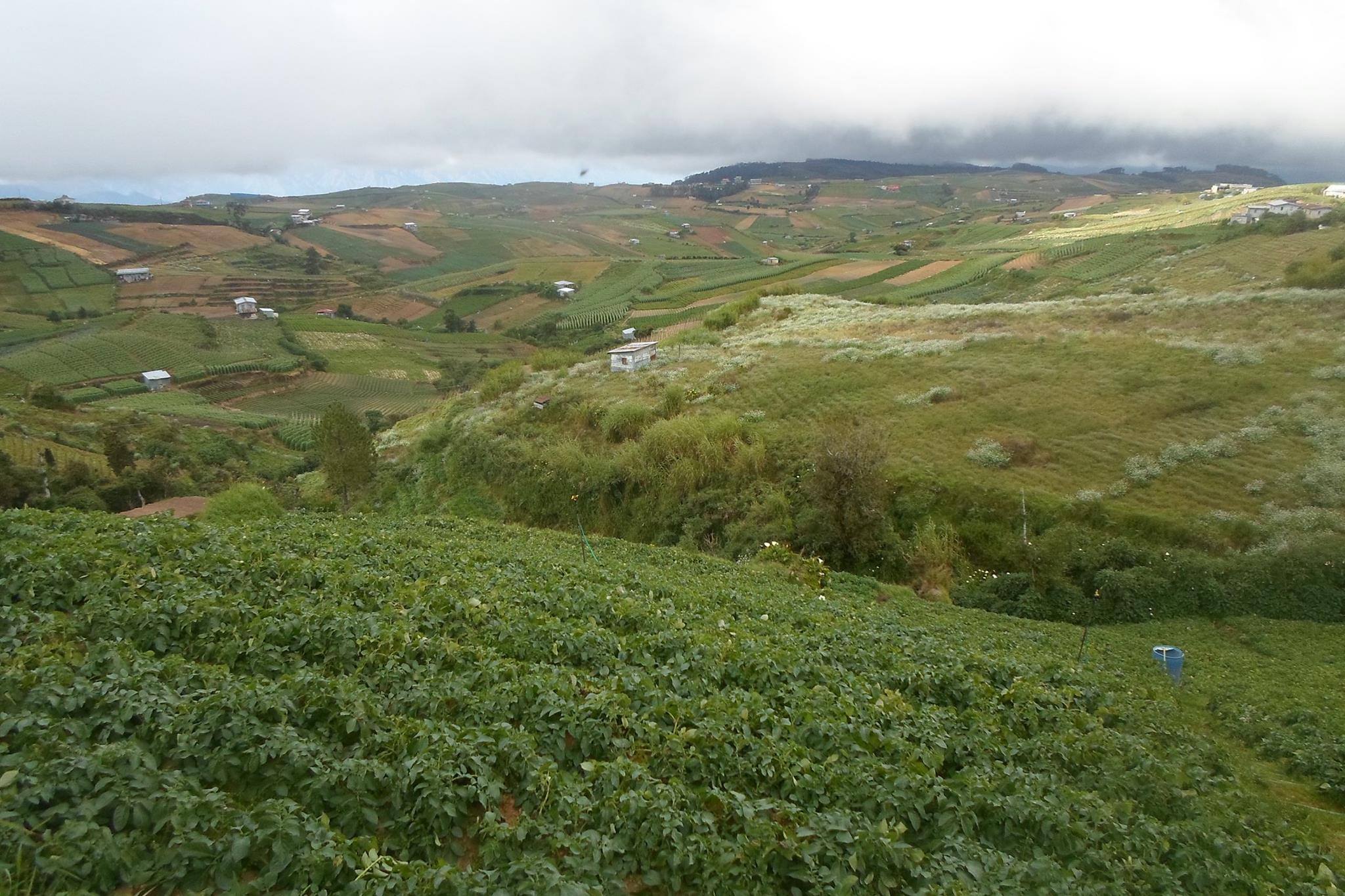 Cada Plateau of Mankayan Benguet Philippines | Mankayan