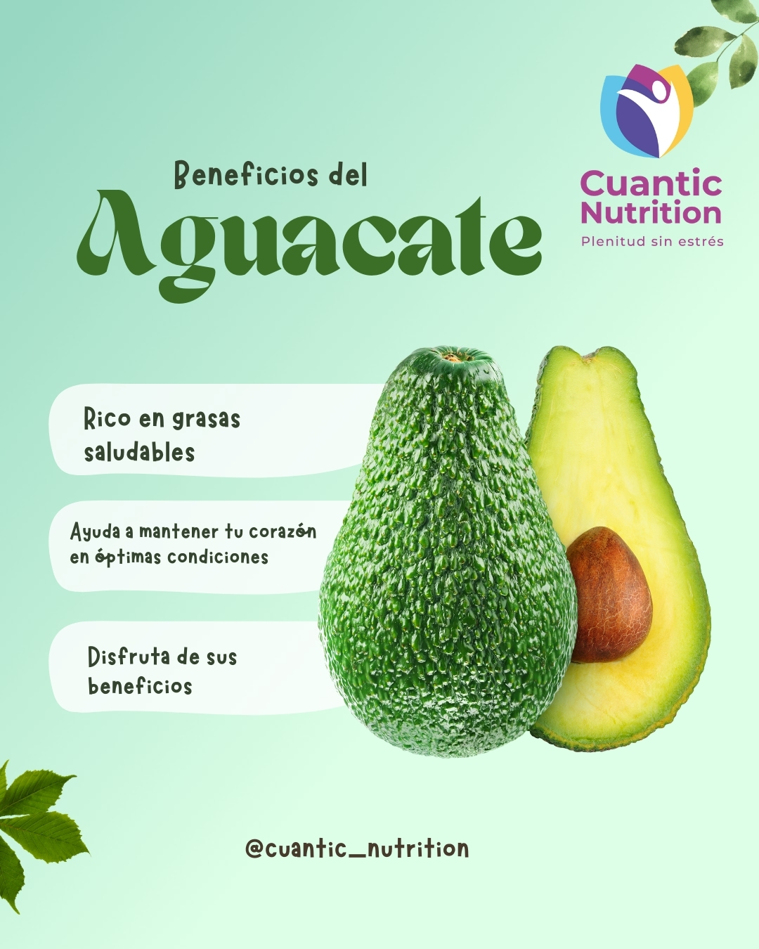 Cuantic - El aguacate 🥑 es una joya nutricional. Rico en grasas ...