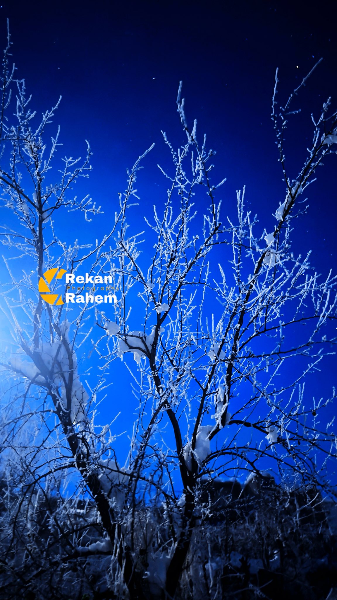 Rekan R Hama