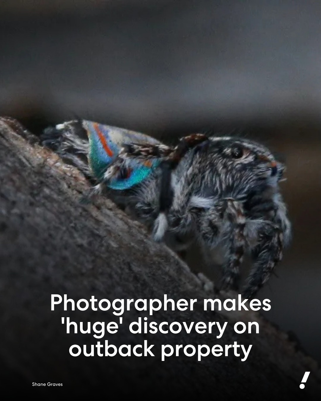 Photographer Shane Graves was... - Yahoo News Australia | Facebook