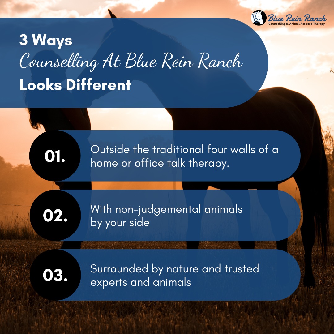 Blue Rein Ranch Counselling & Animal Assisted Therapy | Fort Macleod AB