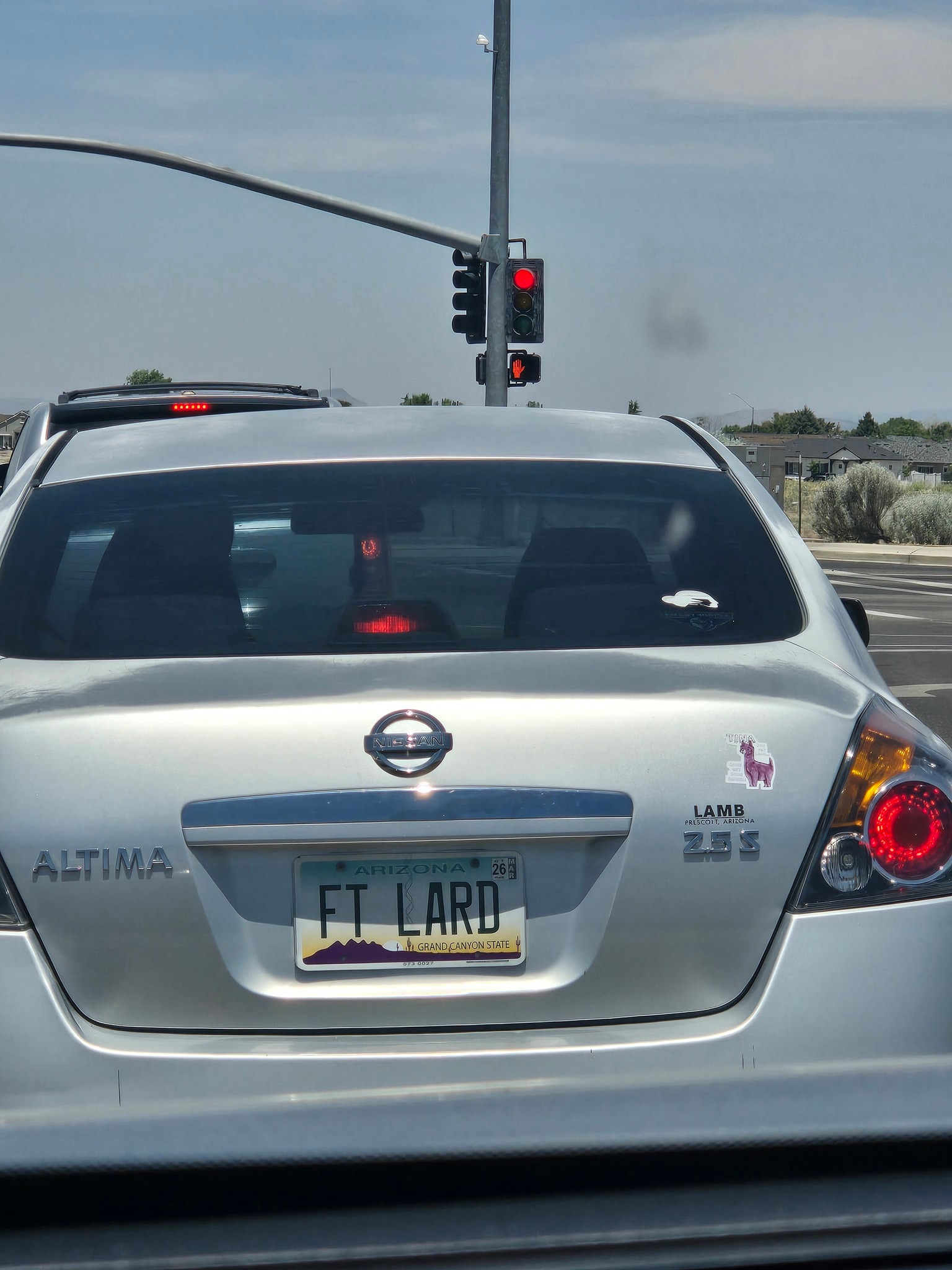 Funny license plate on an Altima with a llama