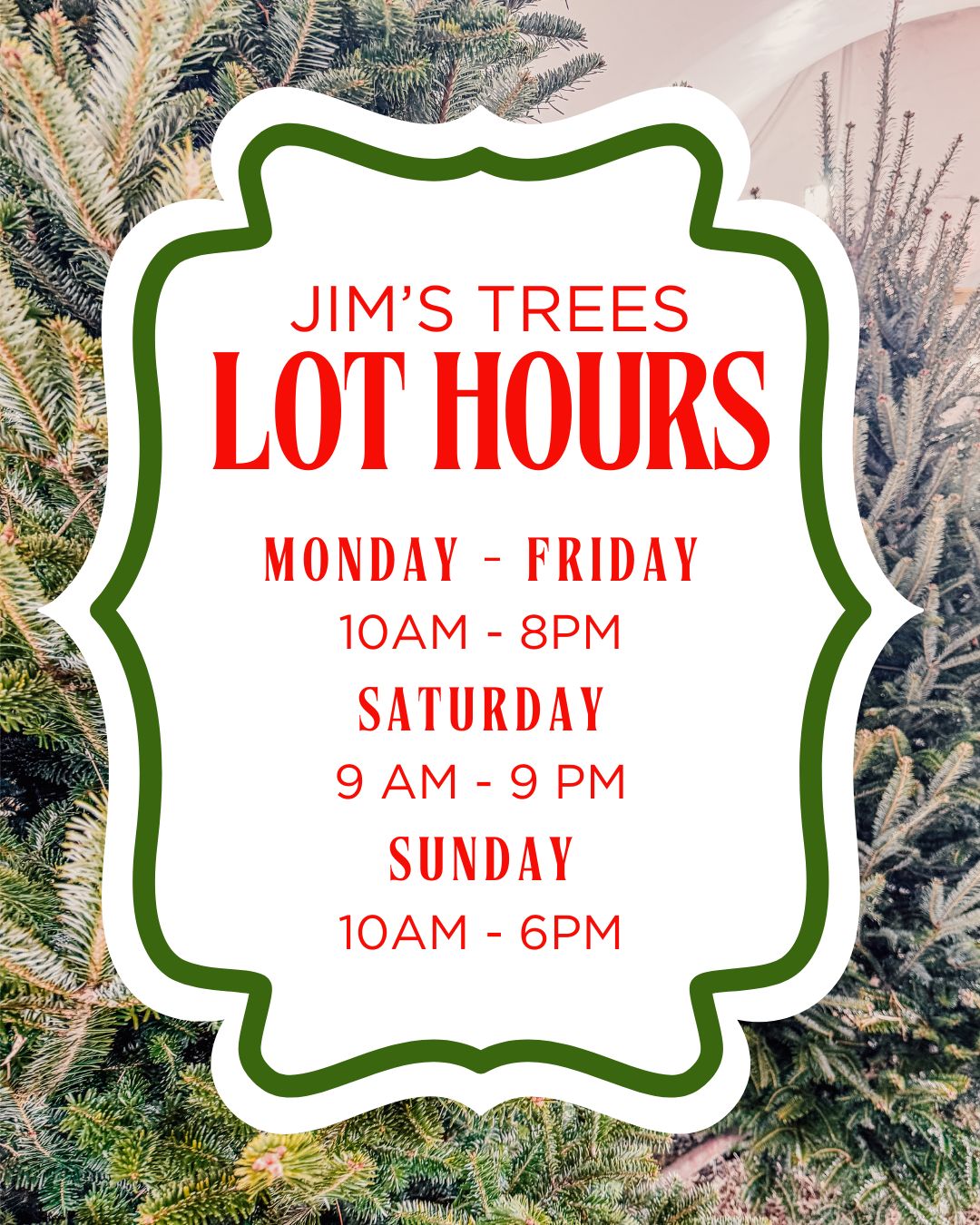Jim's Trees