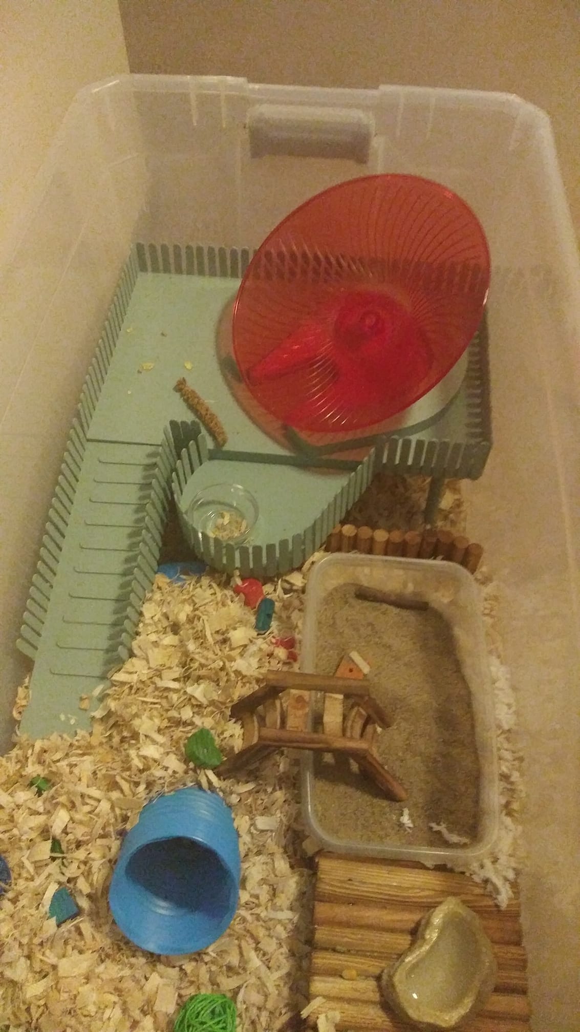 View of Hamster Oasis - New platform in bin. | Facebook