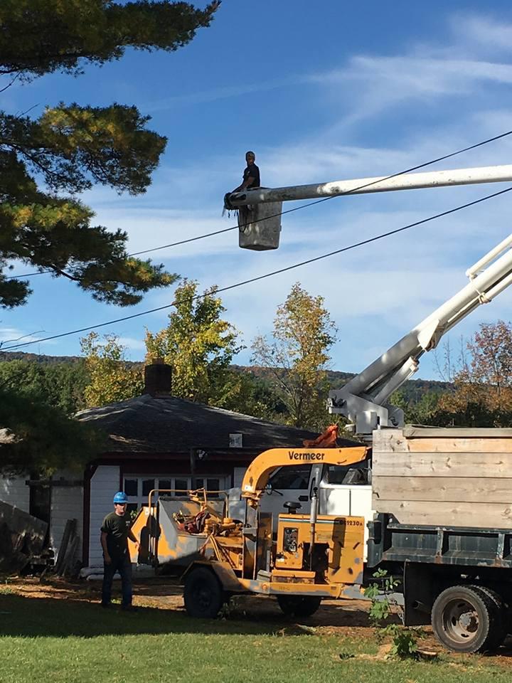 Above and Beyond Tree and Stump Removal | Bouckville NY