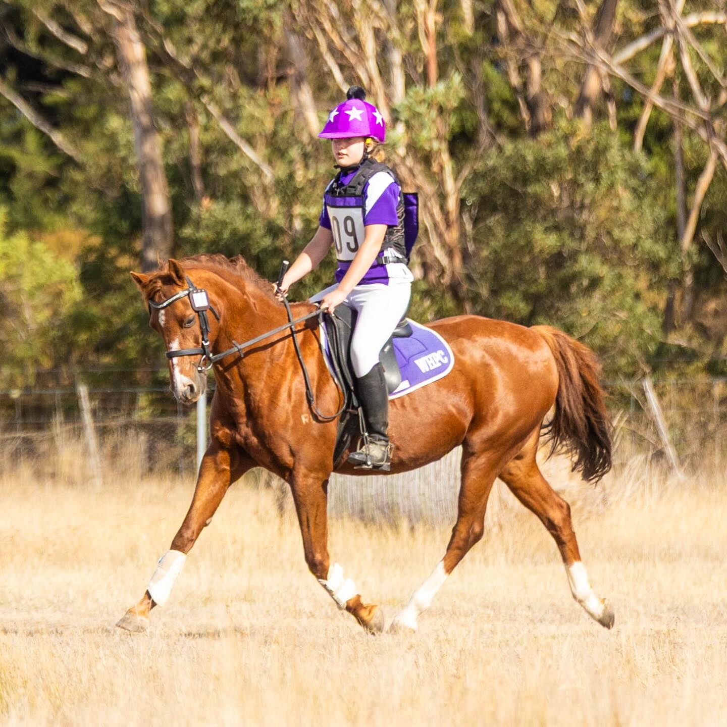 Whittlesea Horse & Pony Club Inc | Whittlesea VIC